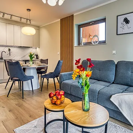 Z Basenem I Saunami Stone Hill Iii Vip Centrum By Royal Aparts Apartment Szklarska Poreba